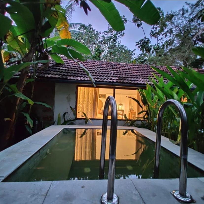Sunsets And Palm Trees Bed & Breakfast Alappuzha Dış mekan fotoğraf