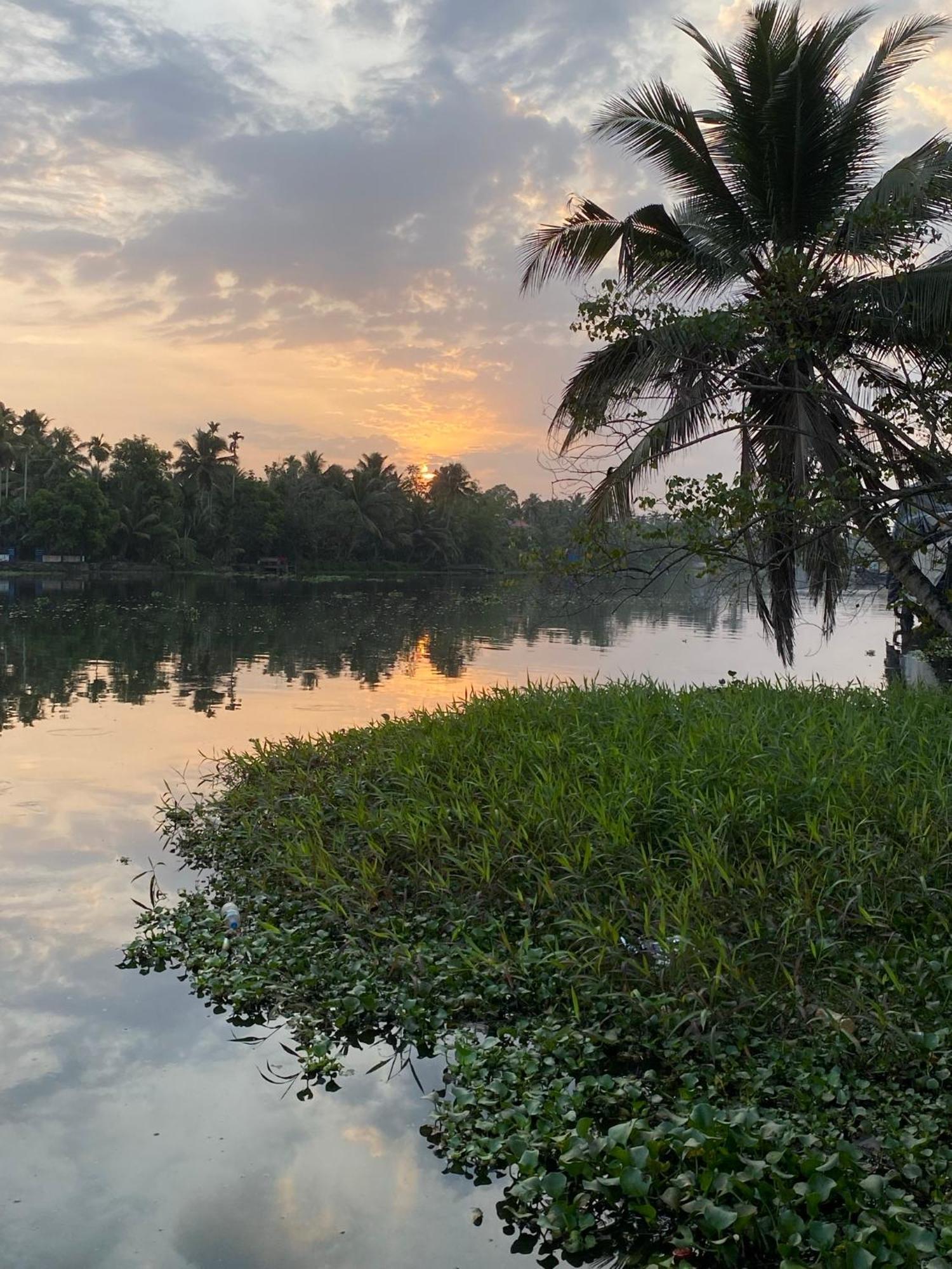 Sunsets And Palm Trees Bed & Breakfast Alappuzha Dış mekan fotoğraf