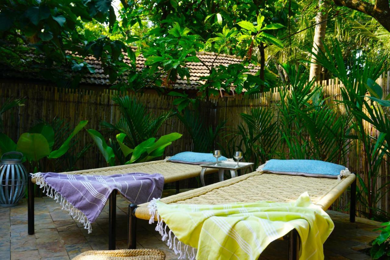 Sunsets And Palm Trees Bed & Breakfast Alappuzha Dış mekan fotoğraf