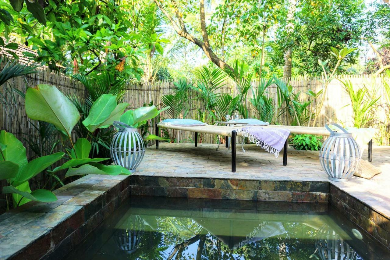 Sunsets And Palm Trees Bed & Breakfast Alappuzha Dış mekan fotoğraf