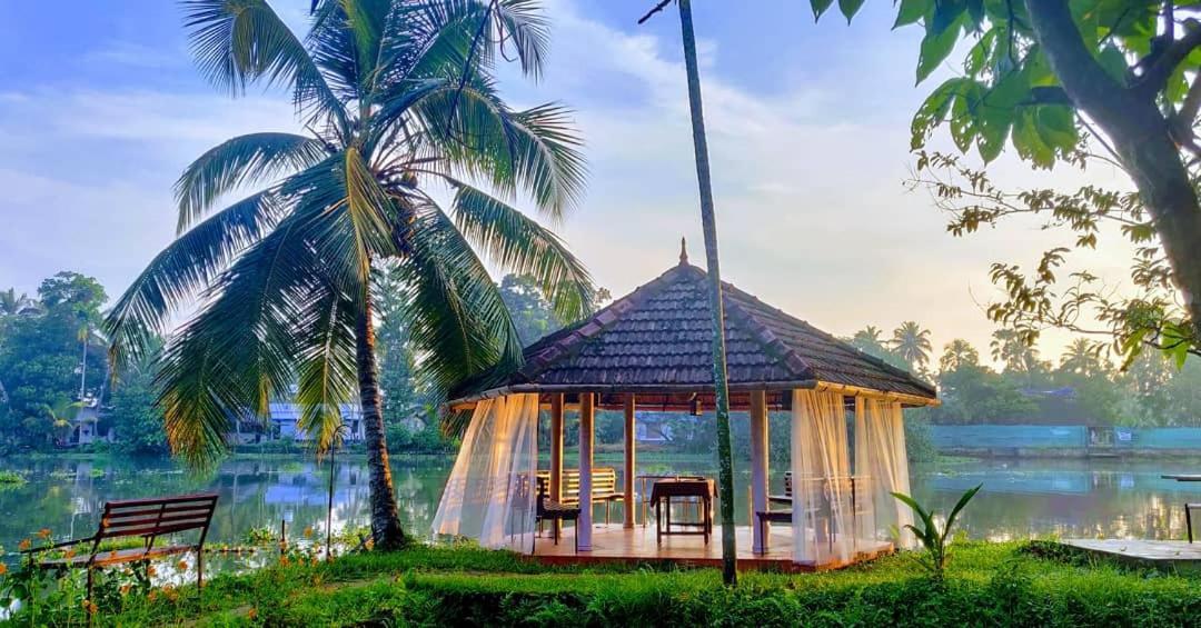 Sunsets And Palm Trees Bed & Breakfast Alappuzha Dış mekan fotoğraf