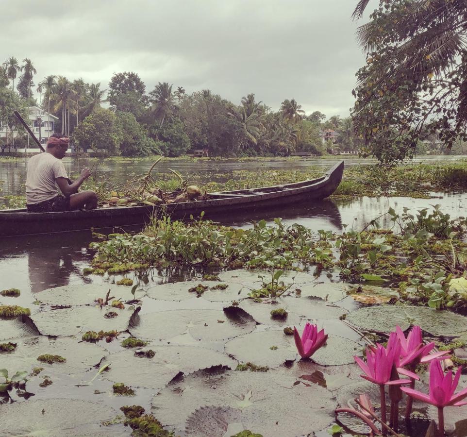 Sunsets And Palm Trees Bed & Breakfast Alappuzha Dış mekan fotoğraf